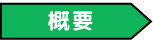 概要